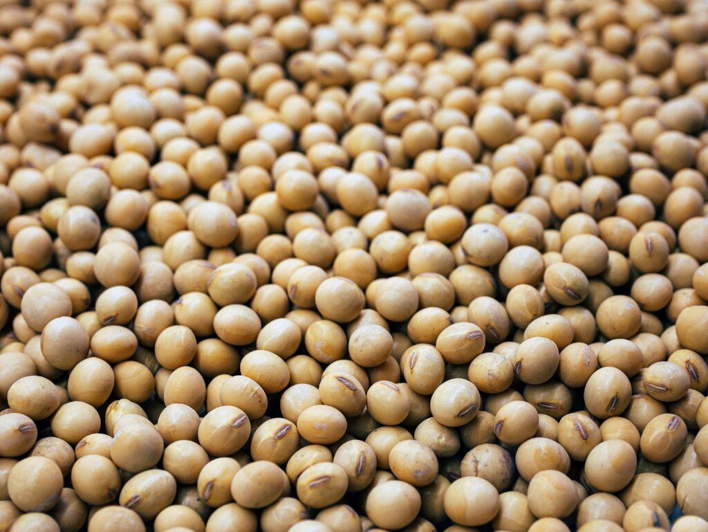 Brasil Mantém Liderança no Mercado de Soja Chinês Apesar de Aumento nas Importações dos EUA