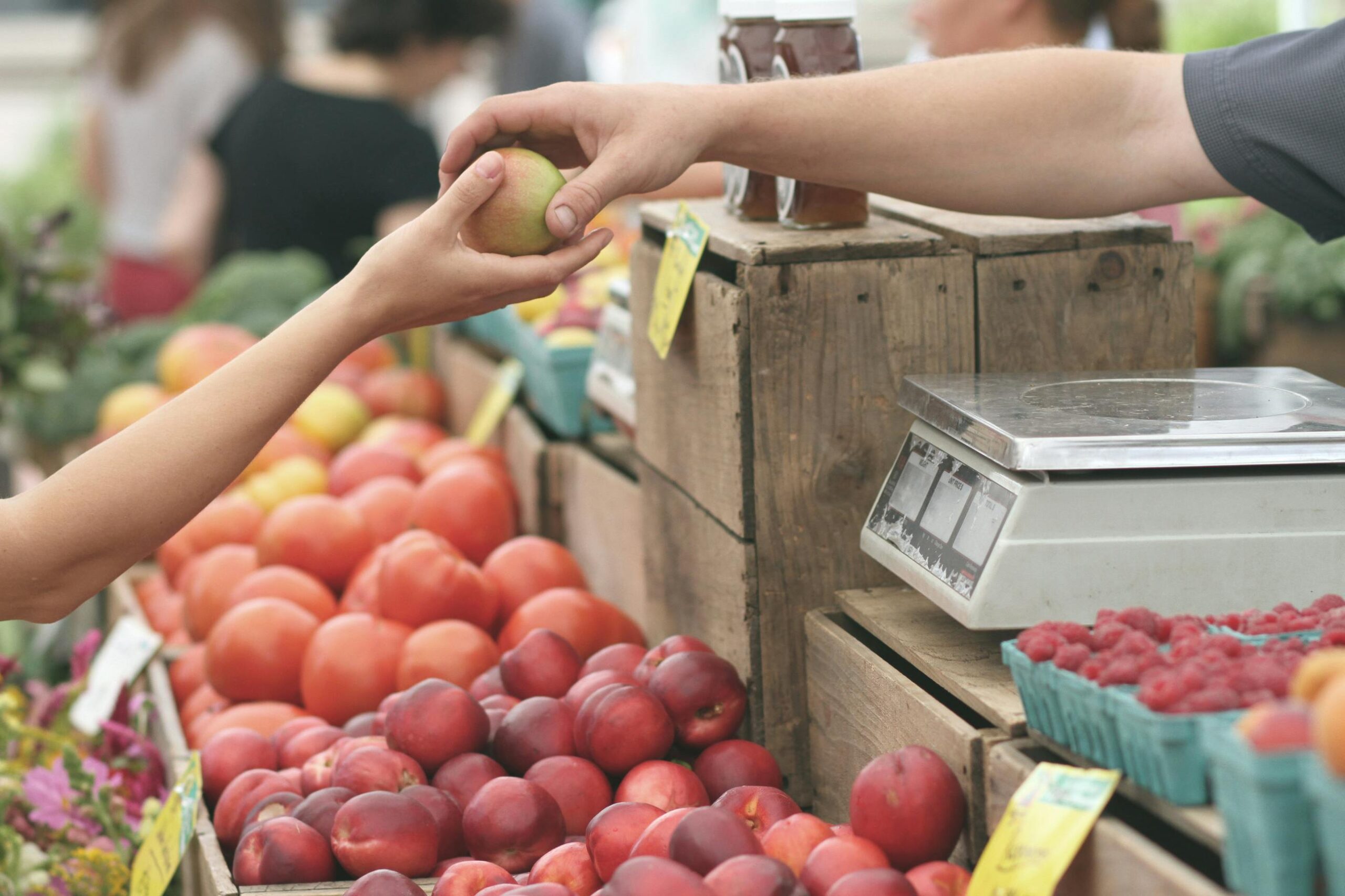 Setor Supermercadista Fatura R$ 1,067 Trilhão em 2024 e Representa 9% do PIB Brasileiro